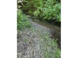 89366 Nelson Mountain Rd - Photo 10