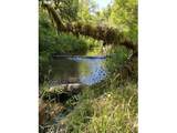 89366 Nelson Mountain Rd - Photo 12