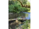 89366 Nelson Mountain Rd - Photo 14