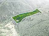 89366 Nelson Mountain Rd - Photo 2
