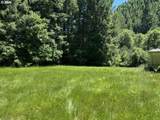 89366 Nelson Mountain Rd - Photo 5