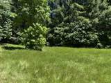 89366 Nelson Mountain Rd - Photo 6