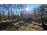  Lot 119 - Photo 2