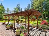 12002 Shanghai Rd - Photo 45