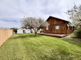 203 Alamo St - Photo 19