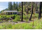 47983 Mckenzie Hwy - Photo 5
