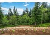 15317 Winsor Dr - Photo 47