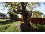 305 Adams St - Photo 30