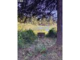 83615 Clear Lake Rd - Photo 3