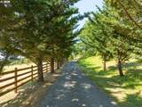 4005 Bennett Creek Rd - Photo 2