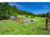 4005 Bennett Creek Rd - Photo 29