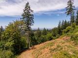 30540 Bell Rd - Photo 15