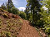 30540 Bell Rd - Photo 23