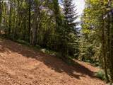 30540 Bell Rd - Photo 25