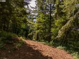 30540 Bell Rd - Photo 26
