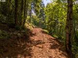 30540 Bell Rd - Photo 28