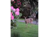 13775 Scholls Ferry Rd - Photo 21