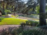 13775 Scholls Ferry Rd - Photo 8