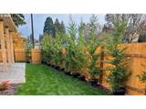 2125 Spitz Rd - Photo 48
