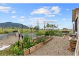 14701 Country Ln - Photo 19