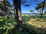 35416 Hwy 101 - Photo 31