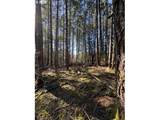 0 Hall Rd - Photo 6