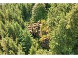 0 Little Mountain Rd - Photo 20