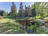 5143 Umpqua Highway 99 - Photo 37