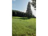 5143 Umpqua Highway 99 - Photo 38