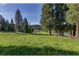 5143 Umpqua Highway 99 - Photo 41