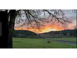 5143 Umpqua Highway 99 - Photo 44