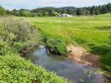 5143 Umpqua Highway 99 - Photo 5