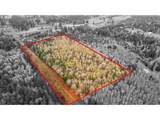 0 Old Rainier Rd - Photo 1