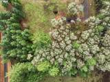 0 Berry Creek Rd - Photo 12