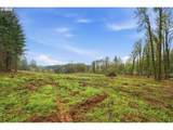 0 Berry Creek Rd - Photo 8
