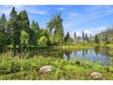 54432 Mckenzie Hwy - Photo 6