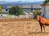 20860 Springwater Rd - Photo 37
