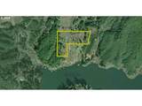 71399 Heavy Horse Rd - Photo 5