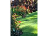 16755 Graef Cir - Photo 42