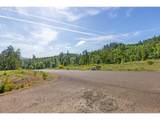  Spring Blvd Lot02500 - Photo 19