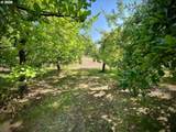 22709 123RD Cir - Photo 32
