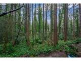 4000 Carman Dr - Photo 22