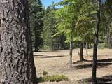 19 Elk Haven - Photo 11