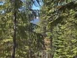 19 Elk Haven - Photo 12