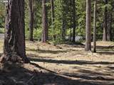19 Elk Haven - Photo 13