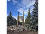 19 Elk Haven - Photo 2