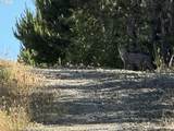 0 Eleventh - Photo 6