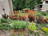 29800 Riverview Dr - Photo 28