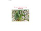 5730 Shattuck Rd - Photo 47