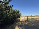 820 Roosevelt St - Photo 5